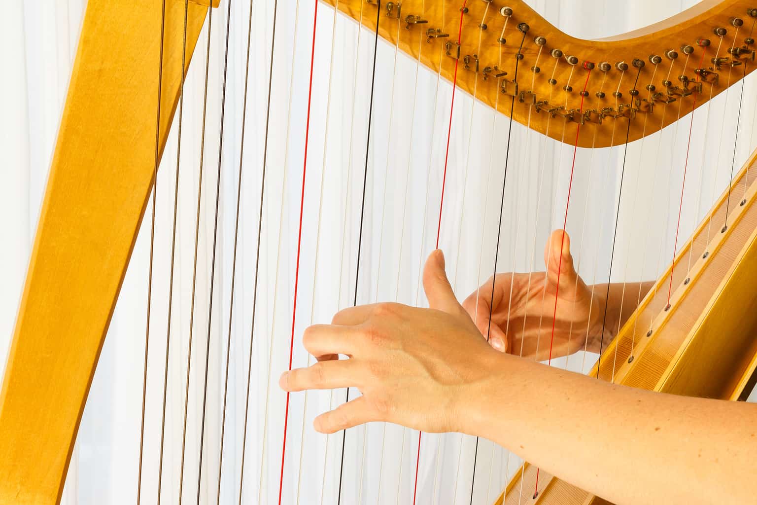 Playing the Celtic Harp