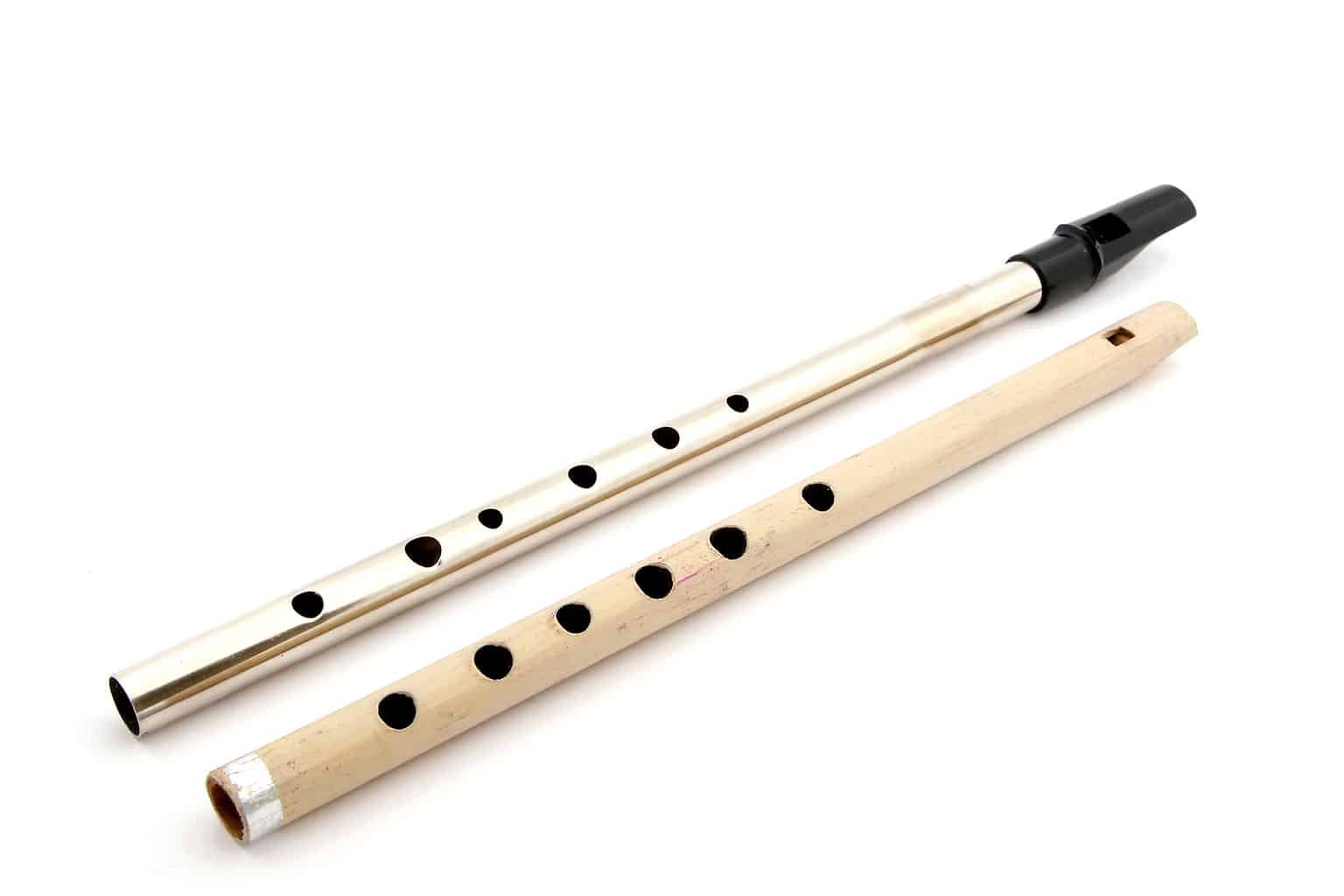 tin whistle